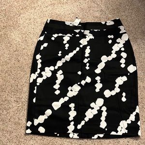 Limited skirt NWT 10